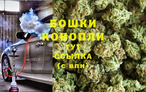 apvp Алзамай