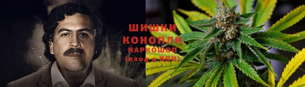 apvp Алзамай