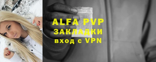 apvp Алзамай