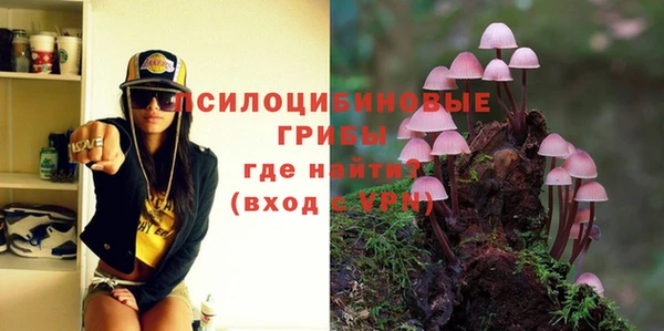 гашик Абдулино