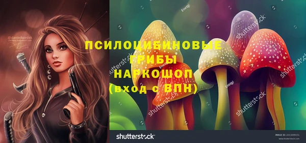 метамфетамин Алексин