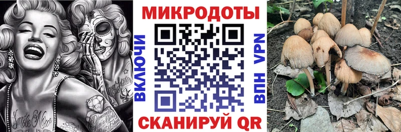 купить наркоту  Омск  Псилоцибиновые грибы мухоморы 