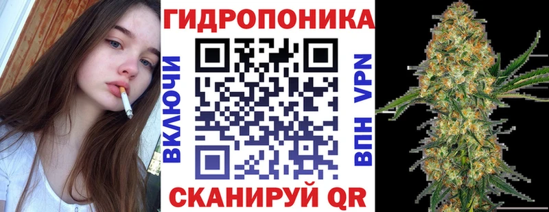 Бошки Шишки планчик Омск